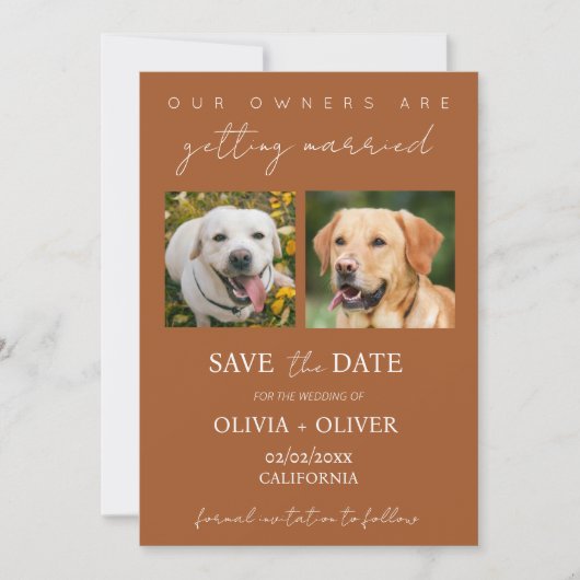Budget, minimalistisch, Terracotta Custom dog Foto Save The Date (Vorderseite)