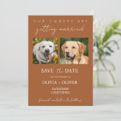 Budget, minimalistisch, Terracotta Custom dog Foto Save The Date (Stehend Vorderseite)