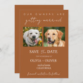 Budget, minimalistisch, Terracotta Custom dog Foto Save The Date (Vorne/Hinten)