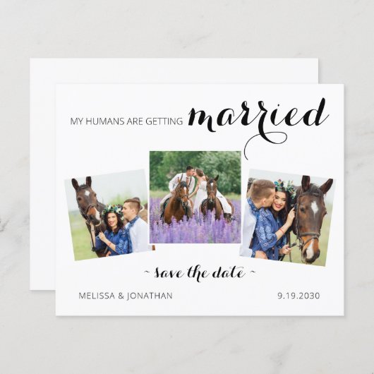 Budget Modernes 3 Foto Pferd Save the Date einlade (Vorne/Hinten)