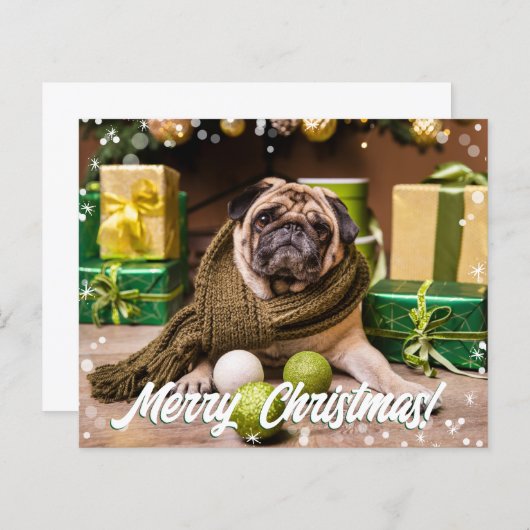 Budget Modernes Foto (Vorne/Hinten)