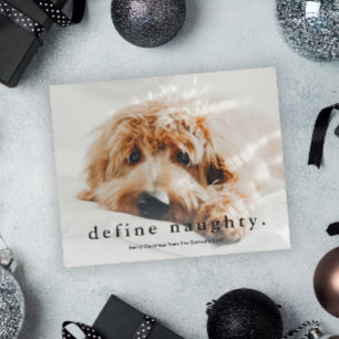 Budget Naughty Lustig Haustier Weihnachtskarte
