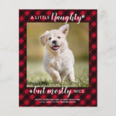 Budget Naughty Nice Pet Foto Roter Karierter Urlau (Vorderseite)