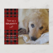 Budget Naughty oder Nice Dog Foto Grußkarte (Vorderseite)
