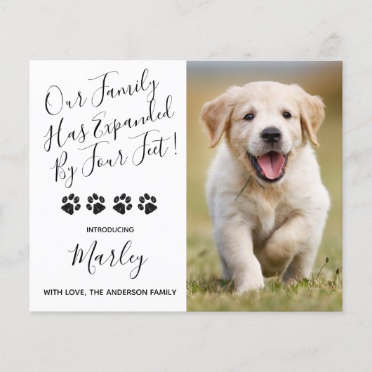 Budget Neues Haustier erweitert durch vier Füße We (Vorderseite)