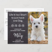 Budget New Pet New Puppy Ankündigung (Vorne/Hinten)