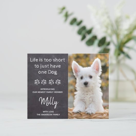 Budget New Pet New Puppy Ankündigung (Stehend Vorderseite)