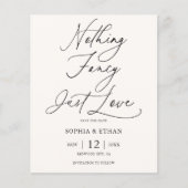 Budget Nichts Extravagantes Skript Hochfahren spei Flyer (Vorne)