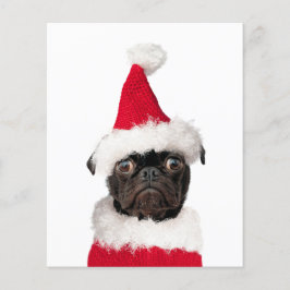 Budget Niedlicher Weihnachtsmann Mops