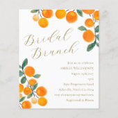 Budget Orange Citrus Fruit Bridal Brunch Einladung (Vorderseite)