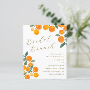 Budget Orange Citrus Fruit Bridal Brunch Einladung