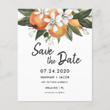 Budget Orange Citrus Greenery sparen Sie die Daten