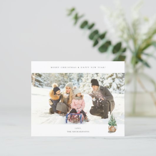 Budget Panorama Chic H Foto - Winterbaum (Stehend Vorderseite)