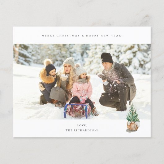 Budget Panorama Chic H Foto - Winterbaum (Vorderseite)