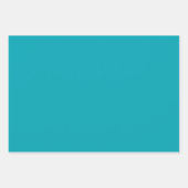 BUDGET Peacock Blue Aquamarin Monochrome Hochzeit Geschenkpapier Set (Vorderseite)