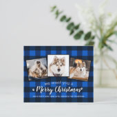 Budget Pet Foto Collage Dog Holiday Blue Kariert (Stehend Vorderseite)