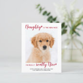 Budget Pet Foto Nauty Funny Holiday Card (Stehend Vorderseite)