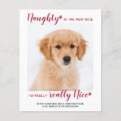 Budget Pet Foto Nauty Funny Holiday Card (Vorderseite)