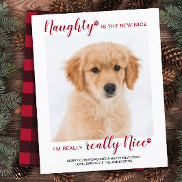 Budget Pet Foto Nauty Funny Holiday Card