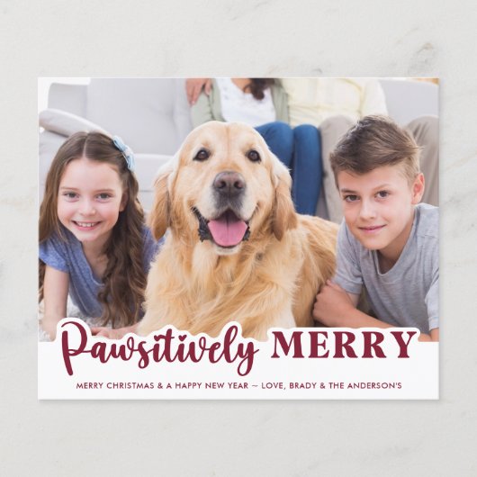 Budget Pet Foto Pawsiely Mercury Ferienkarte (Vorderseite)