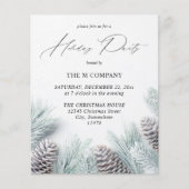 Budget Pine Cone & Snow Holiday Party (Vorderseite)