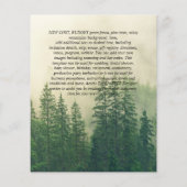 Budget Pine Trees Misty Forest Green Wedding (Rückseite)