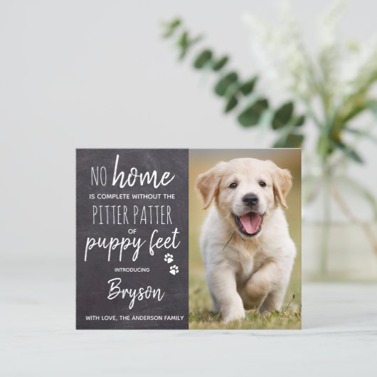 Budget Pitter Patter Welpenfütter Hund Welpe New P (Stehend Vorderseite)