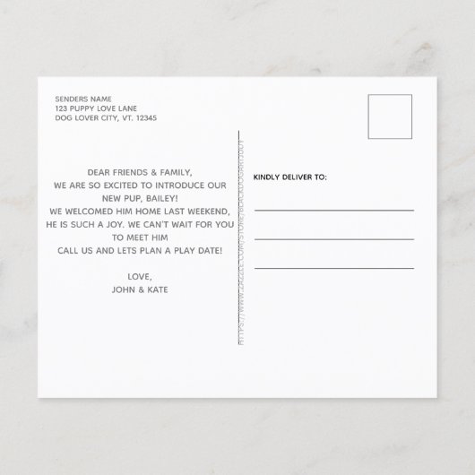 Budget Pitter Patter Welpenfütter Hund Welpe New P (Rückseite)