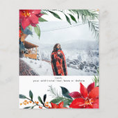 Budget Poinsettia Blumenkohl Glitzer Weihnachten F (Rückseite)