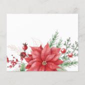 Budget Poinsettias Pine Cone Foto (Rückseite)