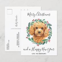 Budget Poodle Dog Elegante Weihnachtskarte