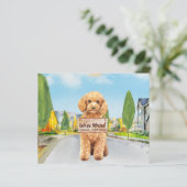 Budget Poodle Wir haben neue Adressenverschiebung (Stehend Vorderseite)