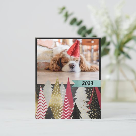 Budget Red Black Foto (Stehend Vorderseite)