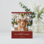 Budget Red Gold Weihnachts-Foto (Stehend Vorderseite)