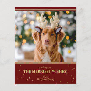 Budget Red Gold Weihnachts-Foto