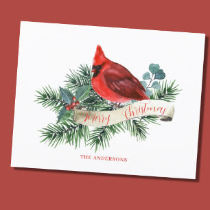 Budget Red Kardinal Weihnachtskarte