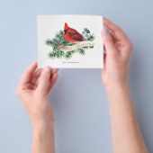 Budget Red Kardinal Weihnachtskarte Flyer (Gruppe)