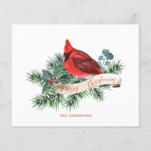 Budget Red Kardinal Weihnachtskarte Flyer