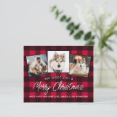 Budget Red Kariert Custom Pet Hund Foto Weihnachte (Stehend Vorderseite)