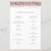 Budget Rose Gold Glitzer Hen Party Wochenende Einl (Rückseite)