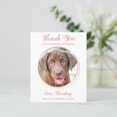 Budget Rose Gold Haustier Foto Hund Hochzeit Viele (Stehend Vorderseite)