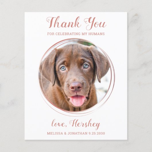 Budget Rose Gold Haustier Foto Hund Hochzeit Viele (Vorderseite)