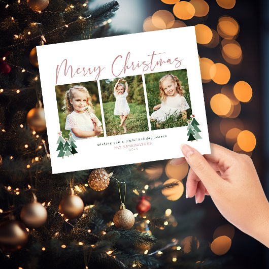 Budget Rustikale Bäume Moderner Weihnachtsurlaub