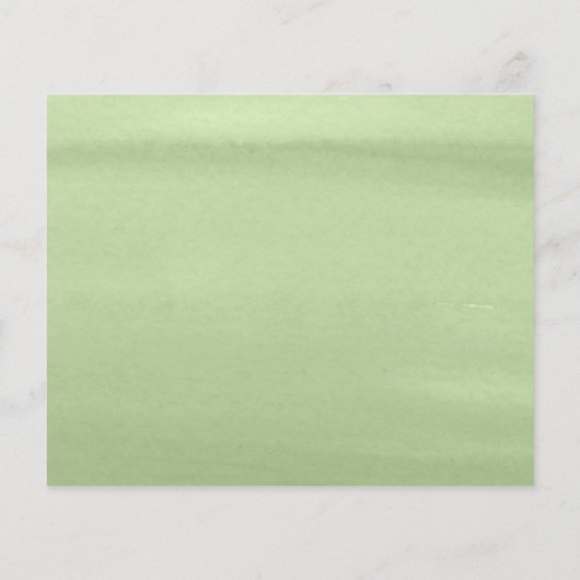 Budget Safari Animals Two Wild Ones Kinderdusche (Rückseite)