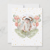 Budget Safari Foto 1. Wild One (Rückseite)