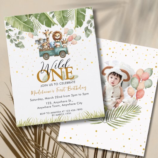 Budget Safari Foto 1. Wild One