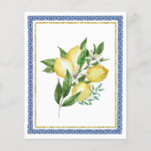 Budget Sie fand ihre wichtigste Squeeze Lemon Einl (Rückseite)