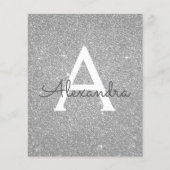 Budget Silver Glitzer 16 . Geburtstag Geburtstag (Vorderseite)