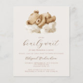 Budget Teddy Bear Neutral Alles in einer Babydusch (Vorderseite)