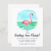 Budget Tropical Flamingo Moved New Address Moving (Vorne/Hinten)